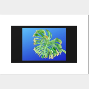 TROPICAL FROND - GREEN LEAF, BLUE SKY - ORIGINAL WATERCOLOR PAINTING OF PALM TREE LEAF Posters and Art